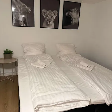 Charming In Copenhagen Appartement *